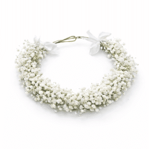 זר לראש - גיבסניות