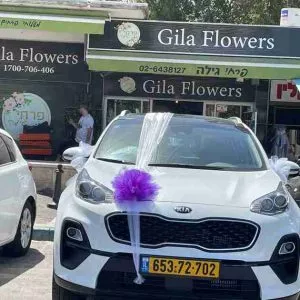 קישוט רכב לבן סגול
