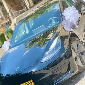 קישוט פשוט עם שני פפיוני בד לבנים