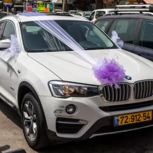 קישוט רכב בסגול