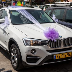 קישוט רכב בסגול
