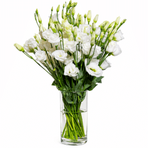 זר ליזיאנטוס לבן באגרטל