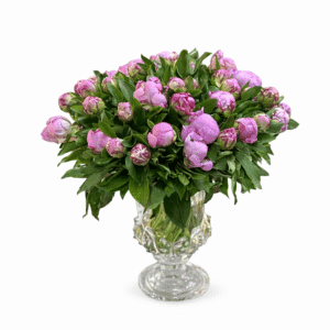 סידור של 39 פיונים באגרטל