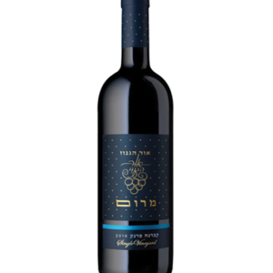 אור הגנוז - קברנה פרנק - סדרת מרום | בד"ץ