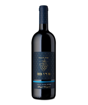 אור הגנוז - קברנה פרנק - סדרת מרום | בד"ץ