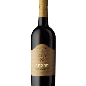 אור הגנוז - הר סיני | בד"ץ