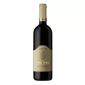 אור הגנוז - הר מירון | בד״ץ