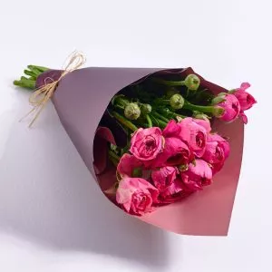 זר נוריות קטן
