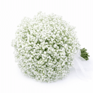 זר כלה לואיסה